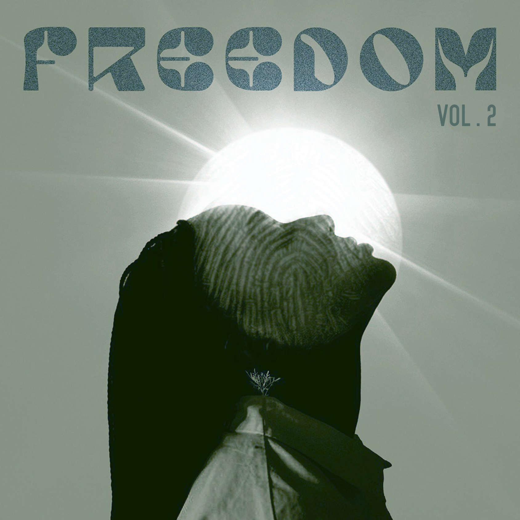 Freedom volume 2